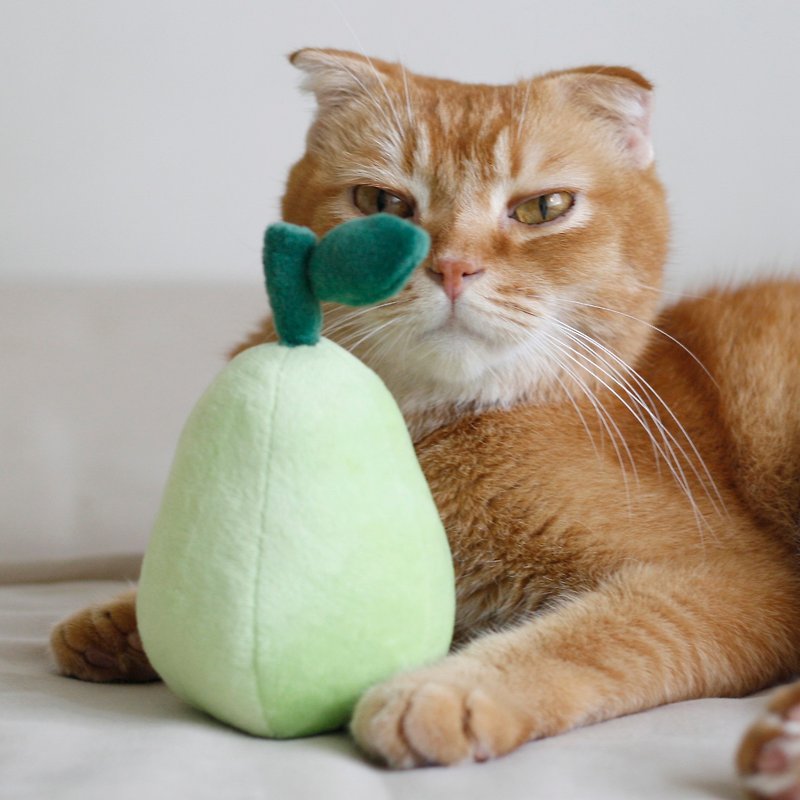 柚子 猫草包 猫玩具 - 玩具 - 聚酯纤维 绿色