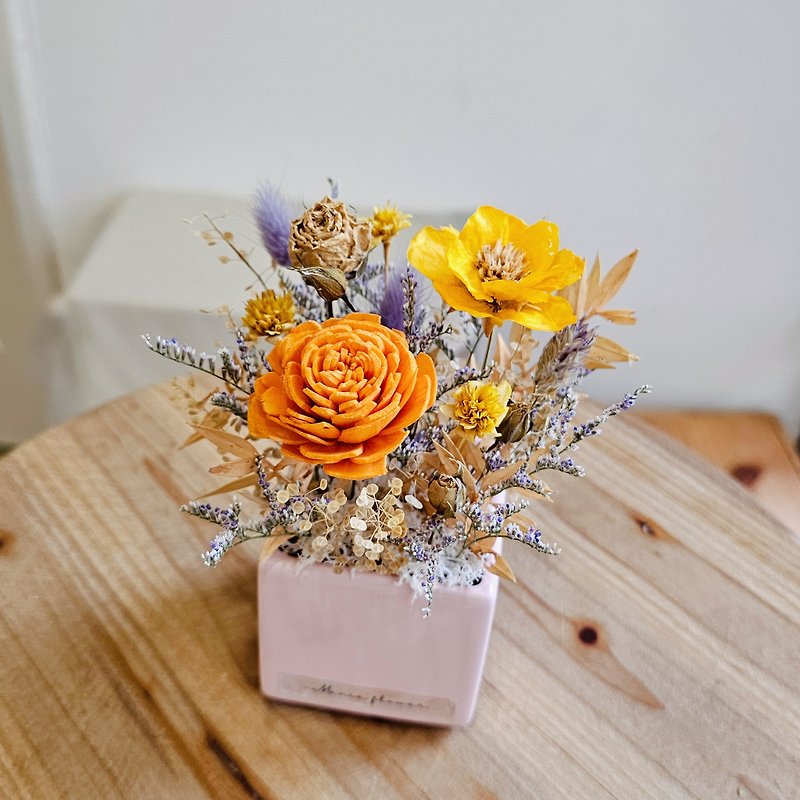 索拉干燥小桌花 附礼盒  现货 快速出货 - 干燥花/捧花 - 植物．花 多色