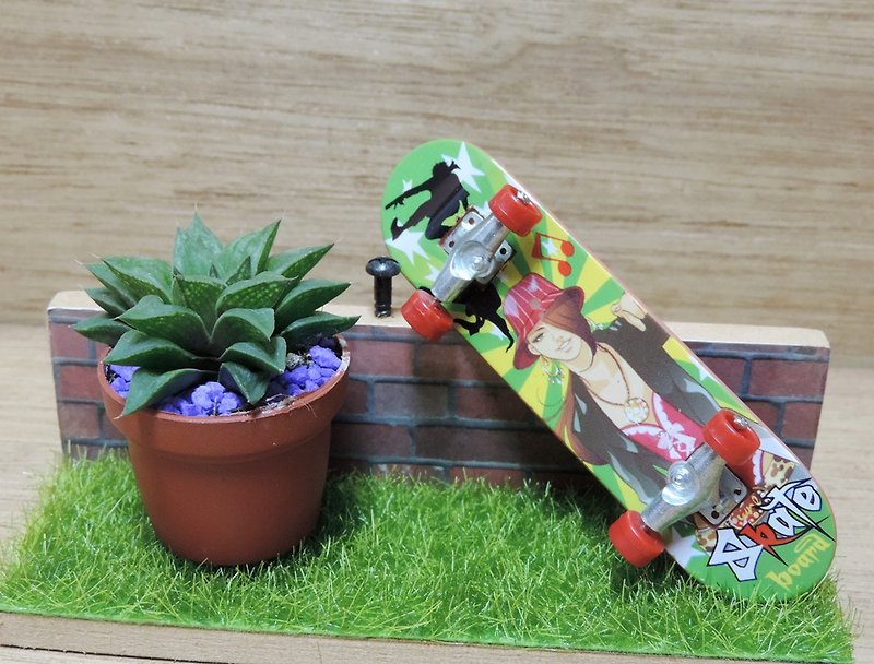 街头滑板风格 · 多肉植物 - 植栽/盆栽 - 其他材质 
