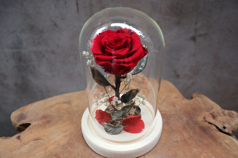 永生花盅 | 单朵永生红玫瑰 玻璃花盅 永生花礼 情人节礼物 - 摆饰 - 玻璃 红色