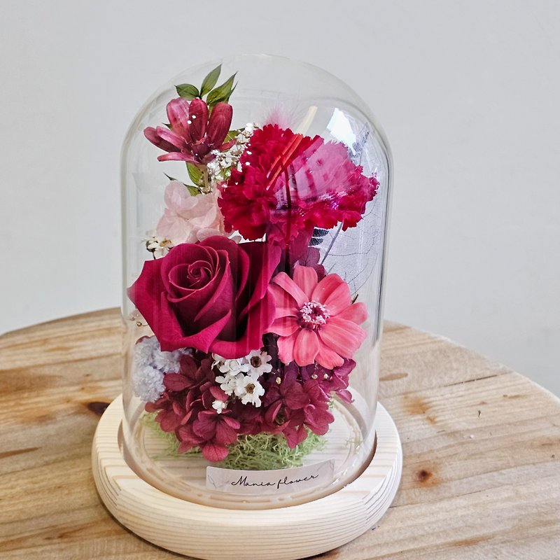 母亲节 永生康乃馨玻璃罩 槽灯款 现货 快速出货 - 干燥花/捧花 - 植物．花 多色