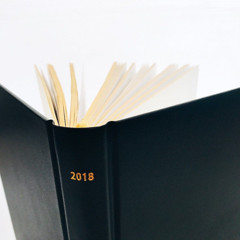 【8折优惠中】2018 Professional Diary 年度日志本 - 笔记本/手帐 - 纸 黑色