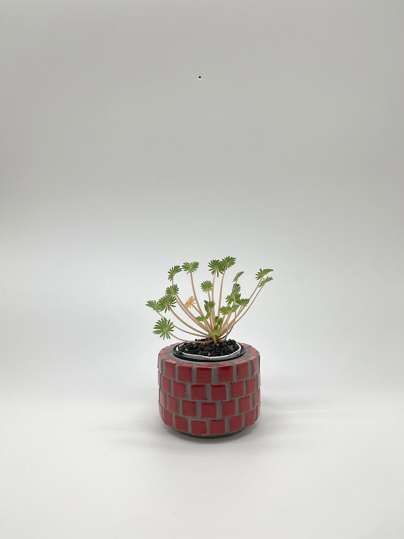 瓷马赛克花器/小 - 花瓶/陶器 - 水泥 红色