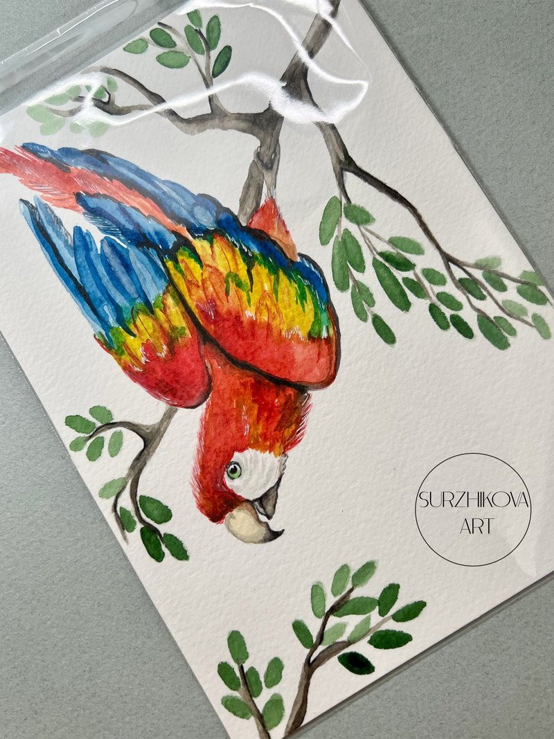 Original watercolor painting depicting the colorful Ara parrot, 5x7 inches - 墙贴/壁贴 - 纸 