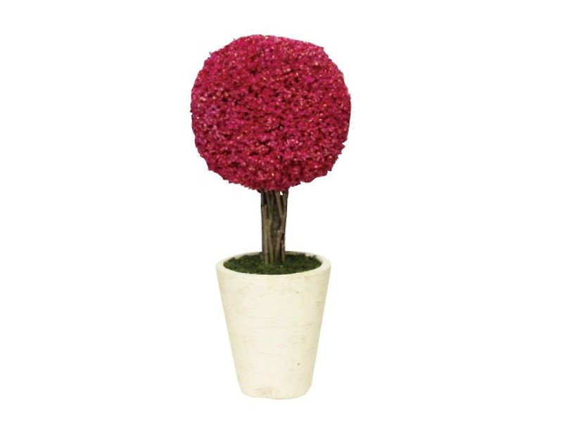 SUSS-日本Magnets干燥花球摆饰小芳香树 (红)-礼物推荐-现货包邮 - 摆饰 - 植物．花 红色