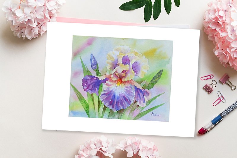 Yellow Violet Iris in the Garden, Watercolor Flowers for Gift - 海报/装饰画/版画 - 纸 多色