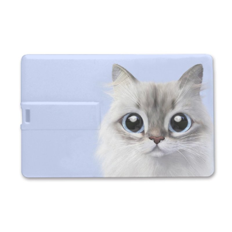 卡片形USB - U盘 - 塑料 