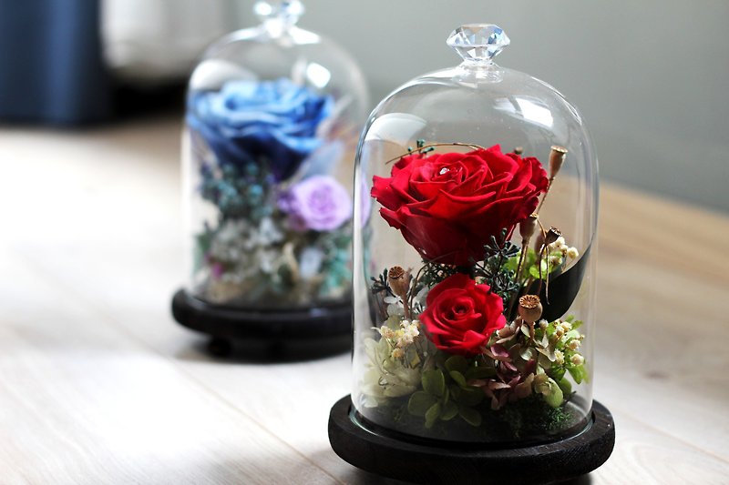 花礼设计【不凋花系列】印象玫瑰玻璃花罩 - 植栽/盆栽 - 植物．花 红色
