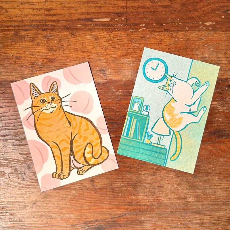 各种猫咪 孔版印刷 明信片B - 卡片/明信片 - 纸 多色