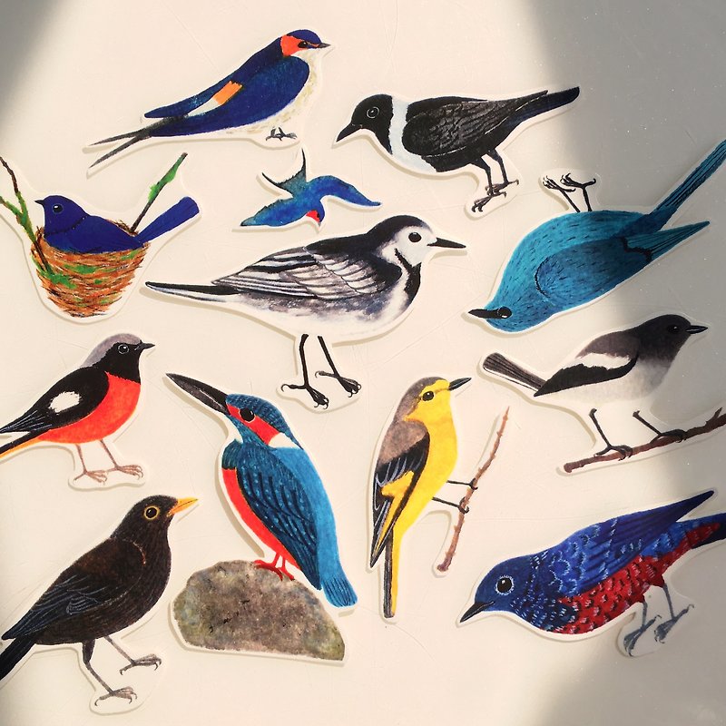 香港野鸟图鉴  透明贴纸 - 贴纸 - 塑料 多色