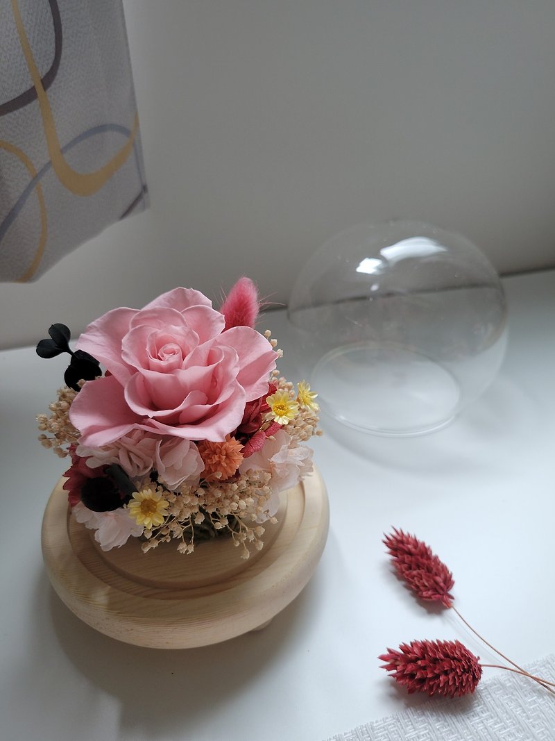 粉红可爱永生玻璃花礼 定制化 花艺设计 节日/礼物 - 植栽 - 植物．花 粉红色