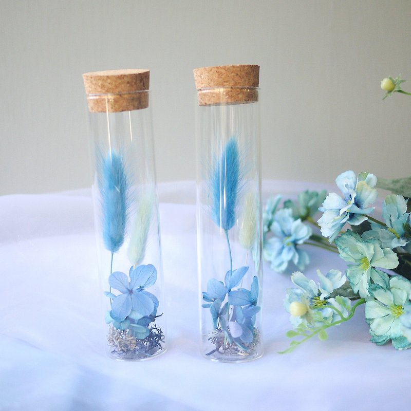 伊登花室 水蓝兔尾草 玻璃试管 / 单个 - 干燥花/捧花 - 植物．花 蓝色