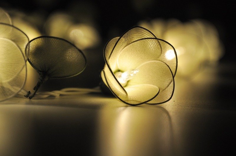 20 Green Flower String Lights for Home Decoration Wedding Party Bedroom Patio and Decoration - 灯具/灯饰 - 其他材质 
