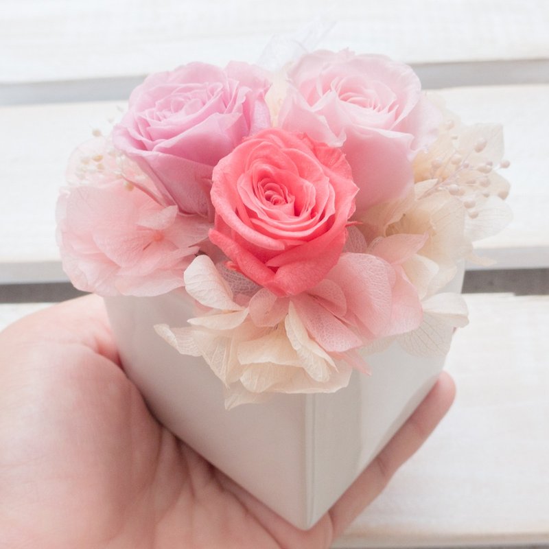 永生玫瑰盆花 结婚花束情人节求婚告白母亲节生日毕业礼物 - 干燥花/捧花 - 植物．花 粉红色
