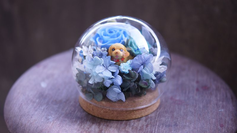 蓝色系 玻璃罩玫瑰  永生花玫瑰   生日礼物  干燥花  小动物随机 - 干燥花/捧花 - 植物．花 蓝色