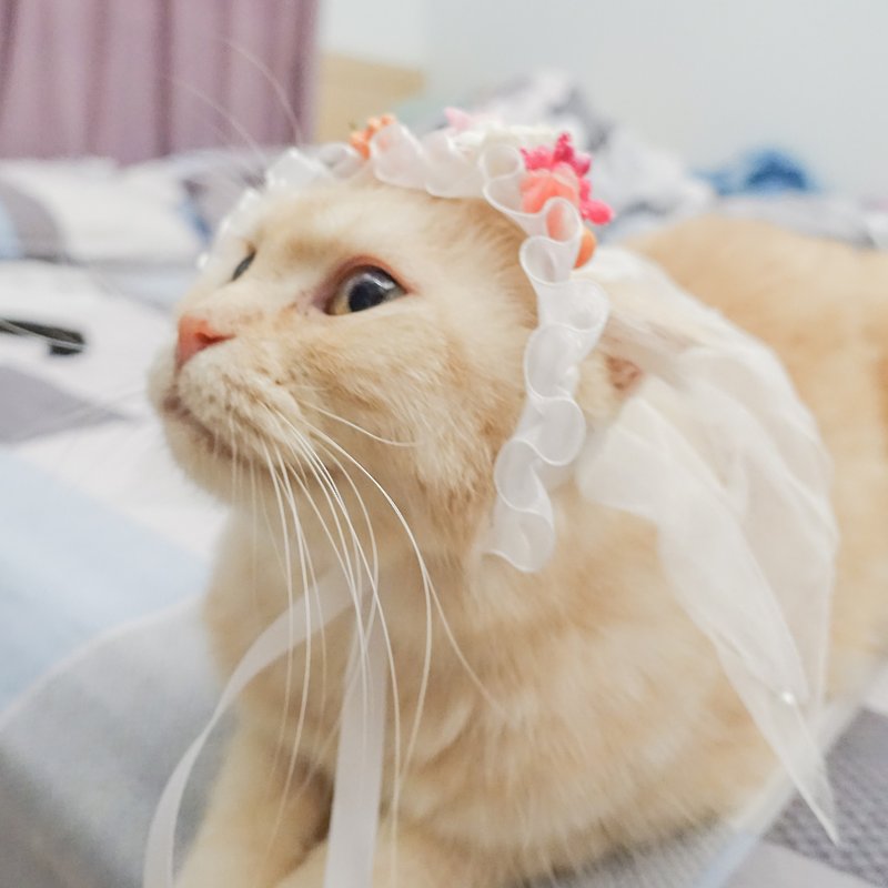 宠物帽子浪漫婚纱头纱 - 衣/帽 - 其他材质 白色