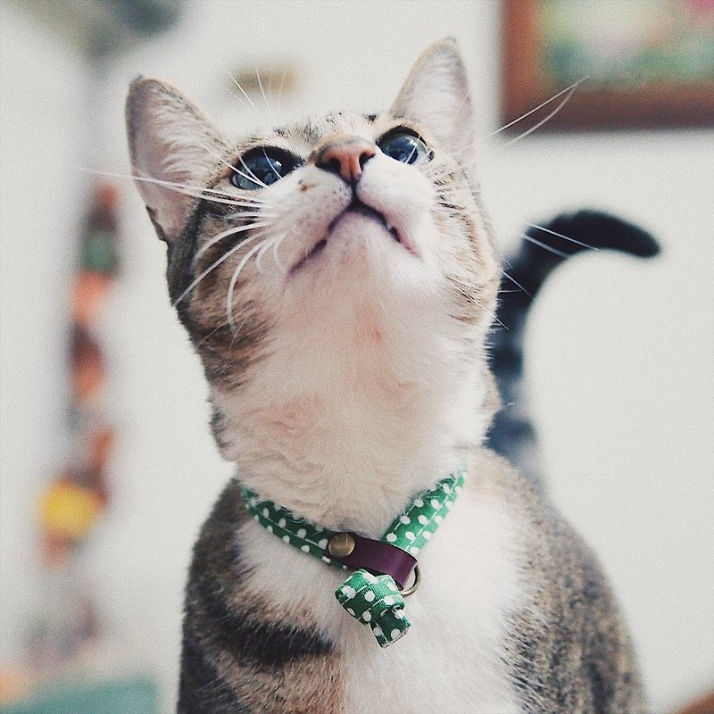 猫 项圈 绿色点点 植楺皮 纯棉 赠铃铛 可爱 可加购吊牌 - 项圈/牵绳 - 棉．麻 