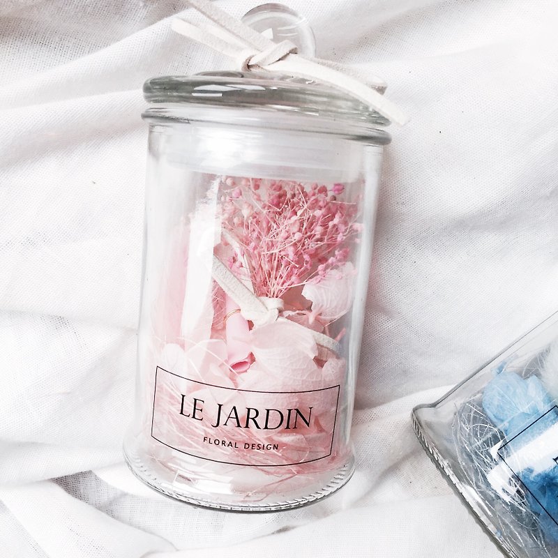 “ Le Jardin ”粉色永生满天星绣球许愿瓶 / 情人节 生日礼物 - 植栽/盆栽 - 植物．花 