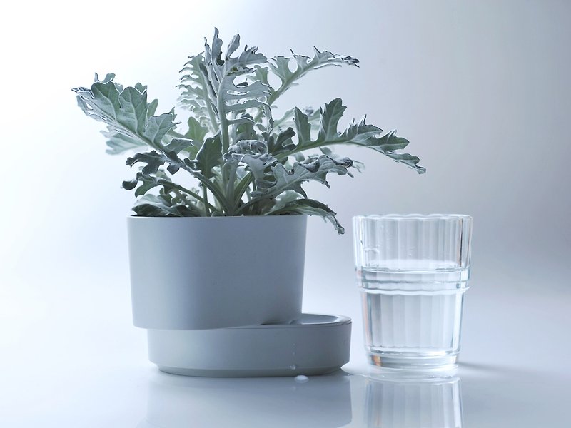 植物圆 - 灰白 - 植栽/盆栽 - 塑料 灰色