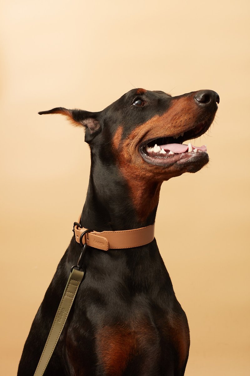 Collar leather Doggu - Natural Brown color size L - 项圈/牵绳 - 真皮 