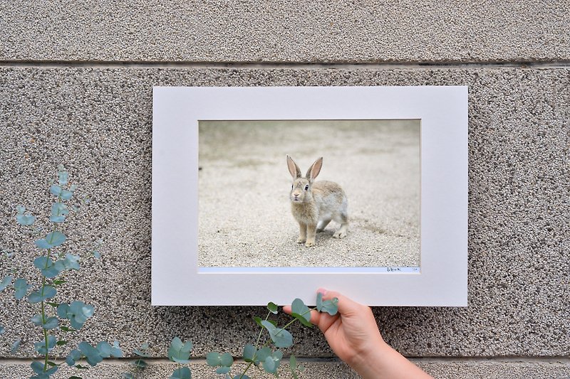 限量兔子摄影艺术原作 - 萌 - 摆饰 - 纸 卡其色
