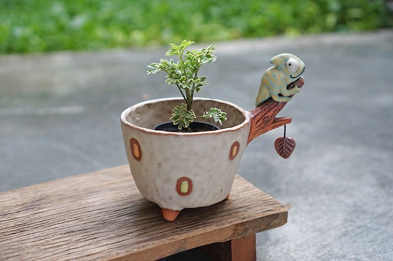 Branch plant pot for cactus , handmade ceramic , pottery - 花瓶/陶器 - 陶 白色