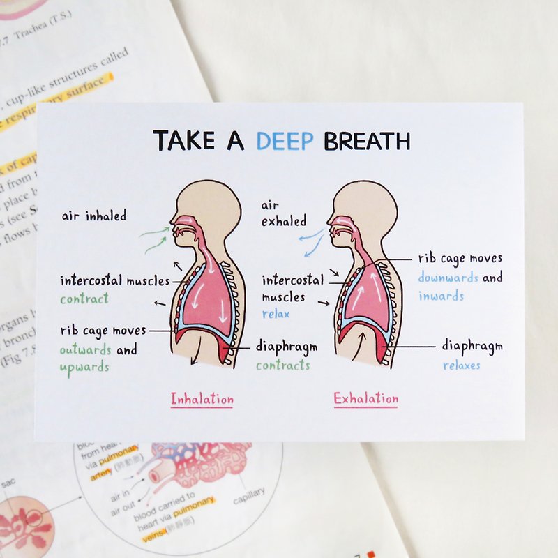 深呼吸 Take a DEEP Breath 心意卡 万用卡 / 生物学 - 卡片/明信片 - 纸 白色