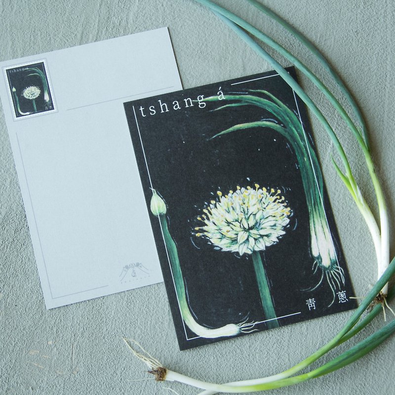 给植物的一封情书-青葱 - 卡片/明信片 - 纸 绿色