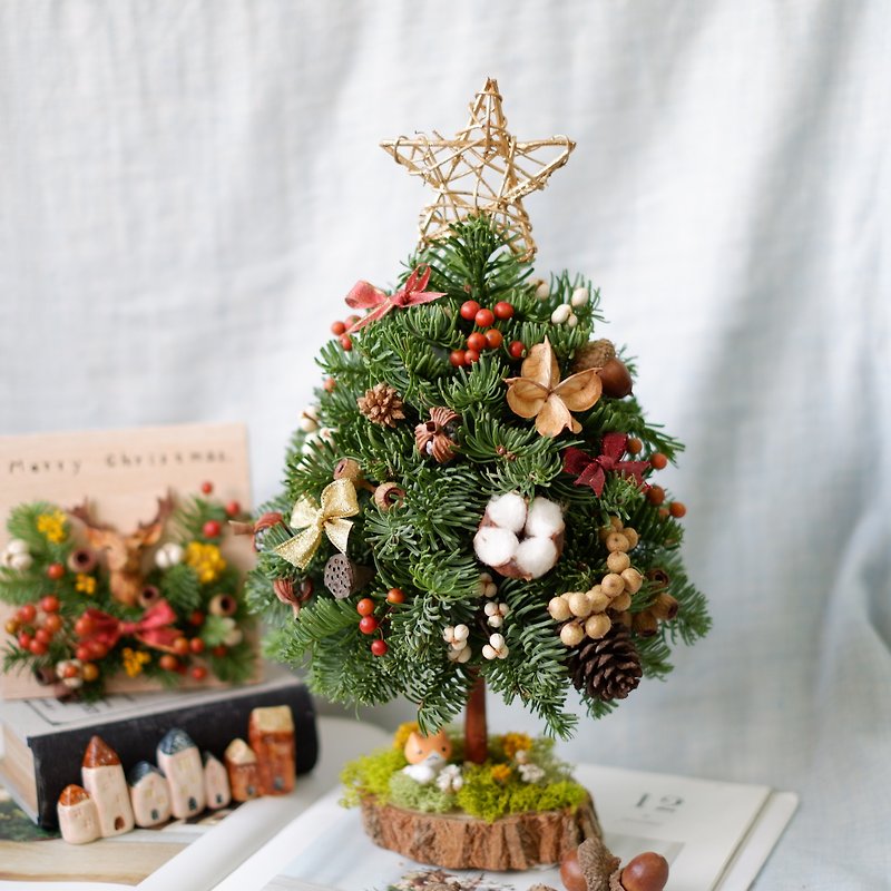 未完待续 | 手作花艺课程-桌上型诺贝松圣诞树 DIY 圣诞节 装饰 - 其他 - 植物．花 