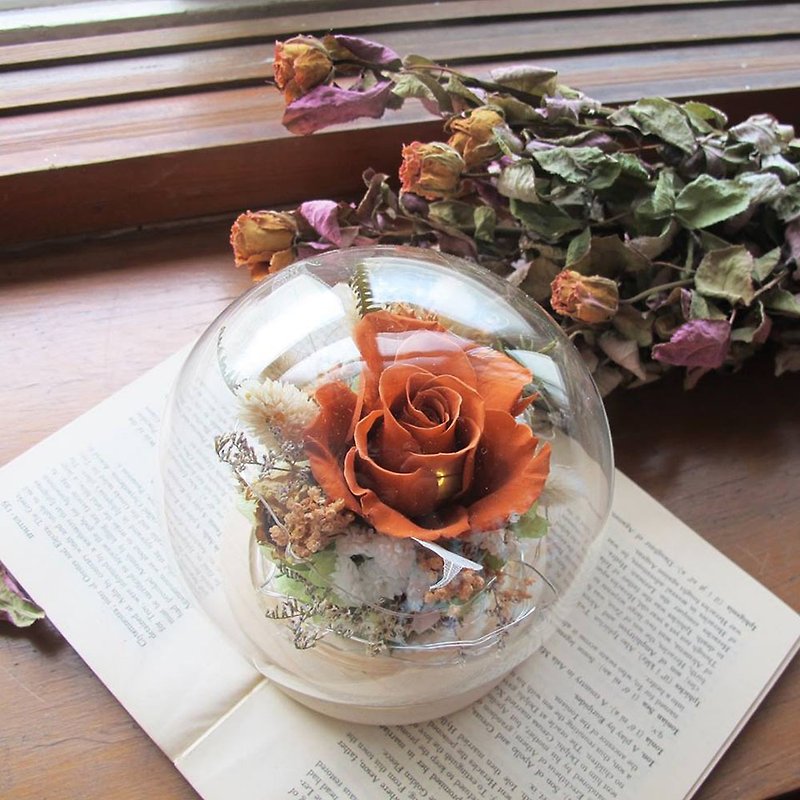 【在线】永生花大玻璃球手作体验 干燥花 DIY - 植栽 - 植物．花 