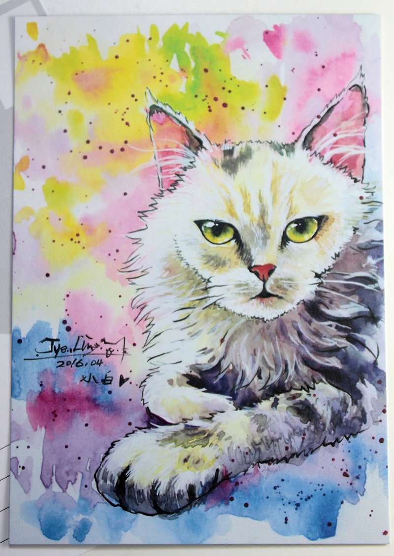 [喵信片] 水彩手绘猫 - 霸气小白猫 (单张购买区) - 卡片/明信片 - 纸 多色