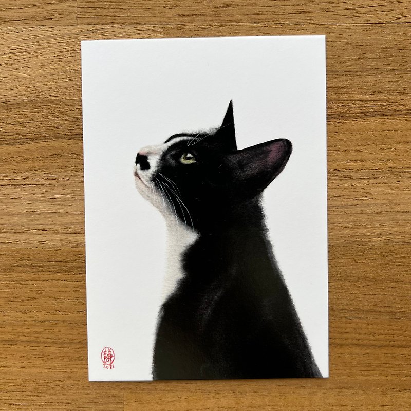凝视 猫咪明信片 - 卡片/明信片 - 纸 多色