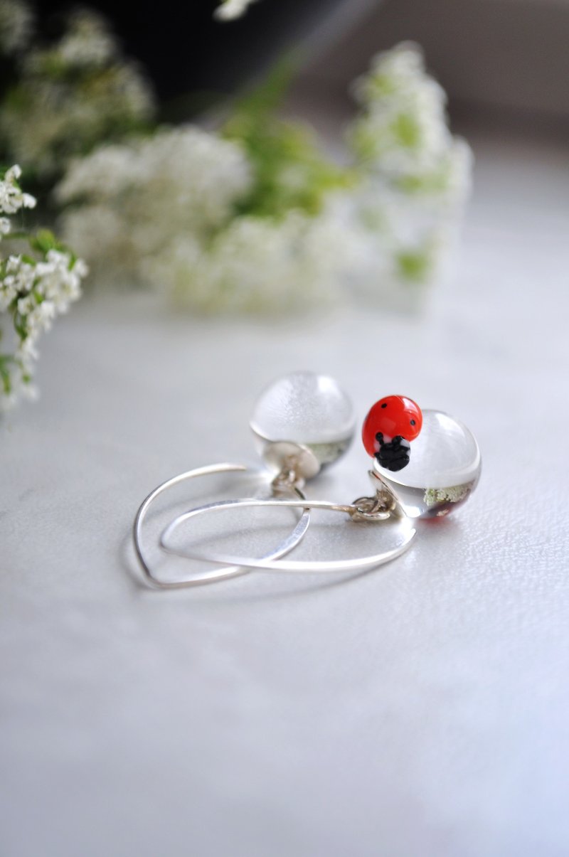 Water drop earrings with ladybug Kawaii earrings Insect jewelry Dangle earrings - 耳环/耳夹 - 玻璃 透明
