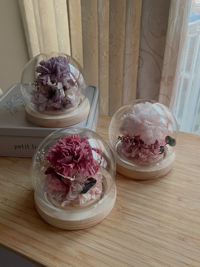 【母亲节礼物】永生康乃馨玻璃球 LED夜灯 3色可选 附礼盒 - 干燥花/捧花 - 植物．花 