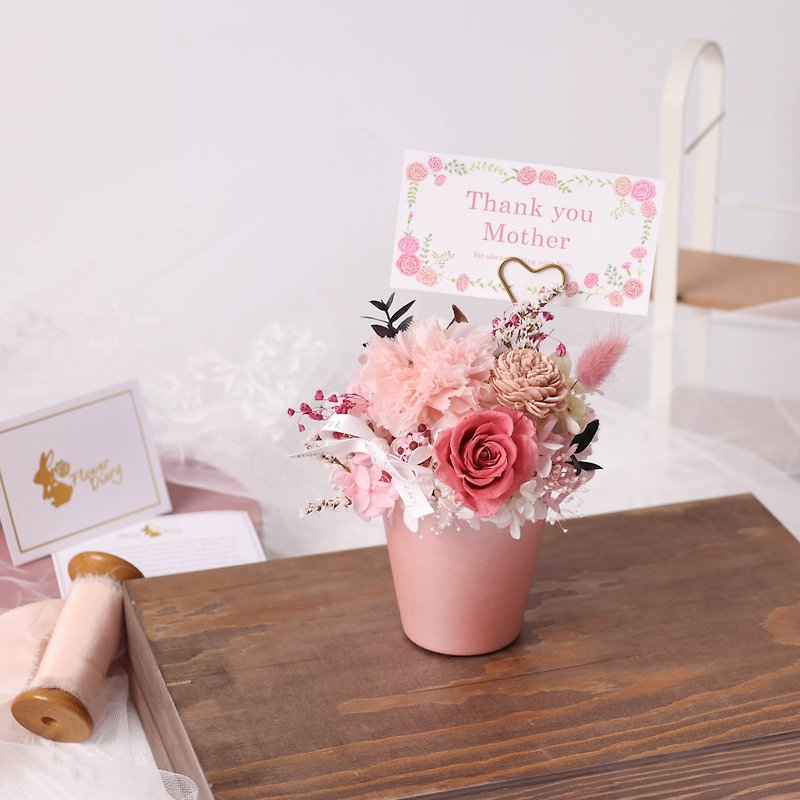 母亲节保鲜花小盆栽 母亲节礼盒 附送日本卡片及精美透明礼盒 - 干燥花/捧花 - 植物．花 红色