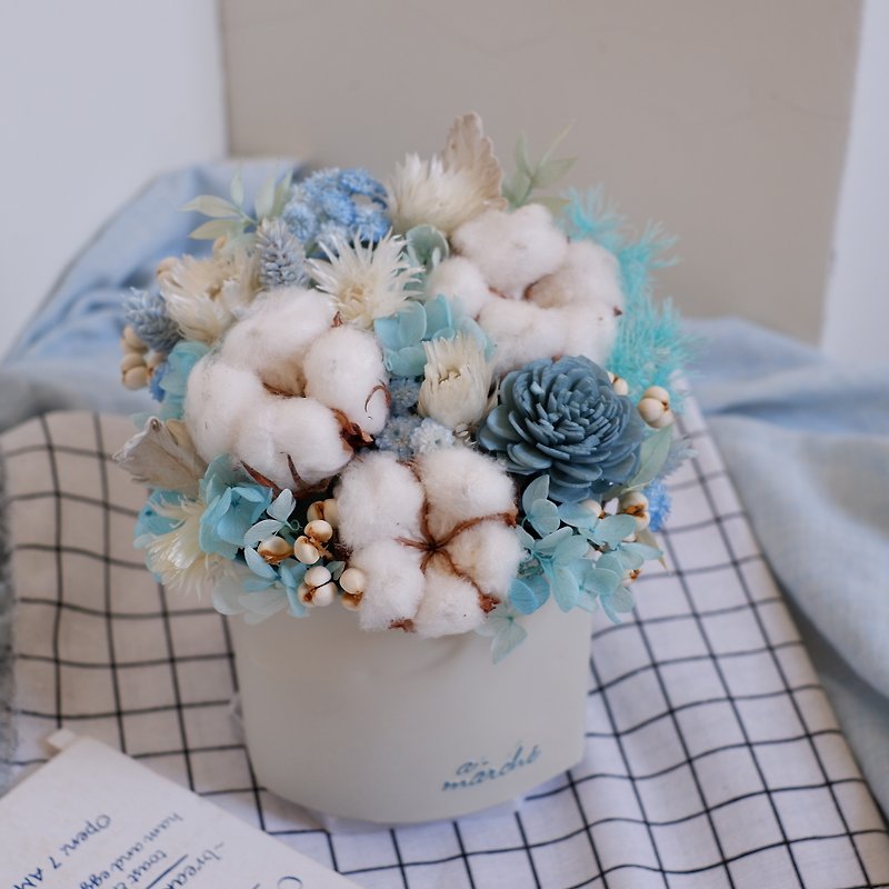定制专属订单- 蓝白可吊挂盆花 For Mos Shie - 干燥花/捧花 - 植物．花 蓝色
