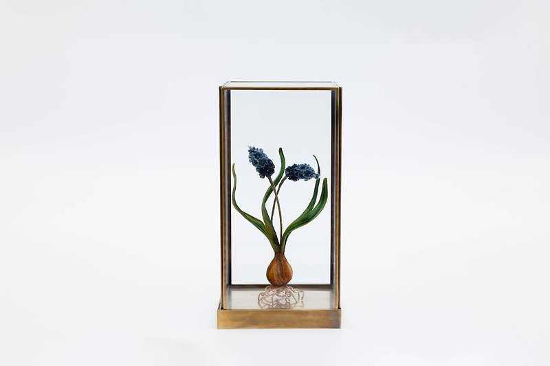 葡萄风信子 设备 陈列 软装 手作布艺 植物 设计 金属 玻璃罩 - 摆饰 - 棉．麻 透明