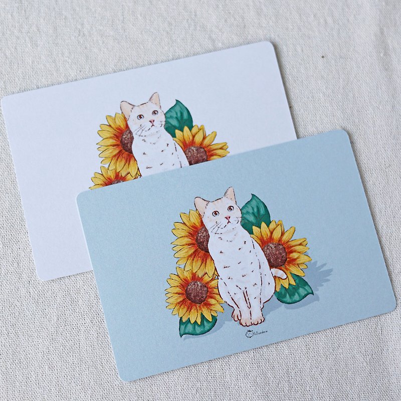 白猫向日葵 猫咪明信片 - 卡片/明信片 - 纸 白色
