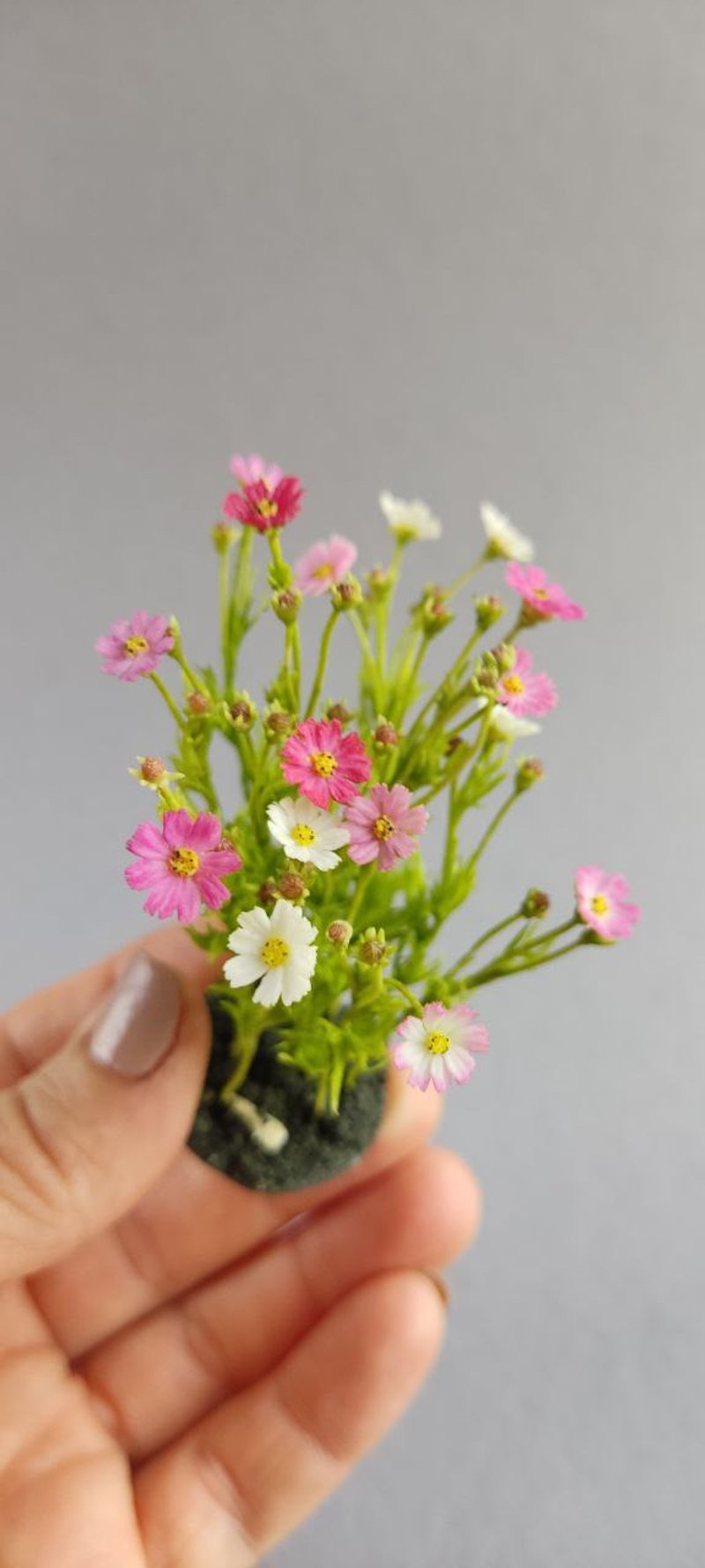 科斯梅亚。植物微型图。架上的花 1:12 - 其他 - 塑料 多色