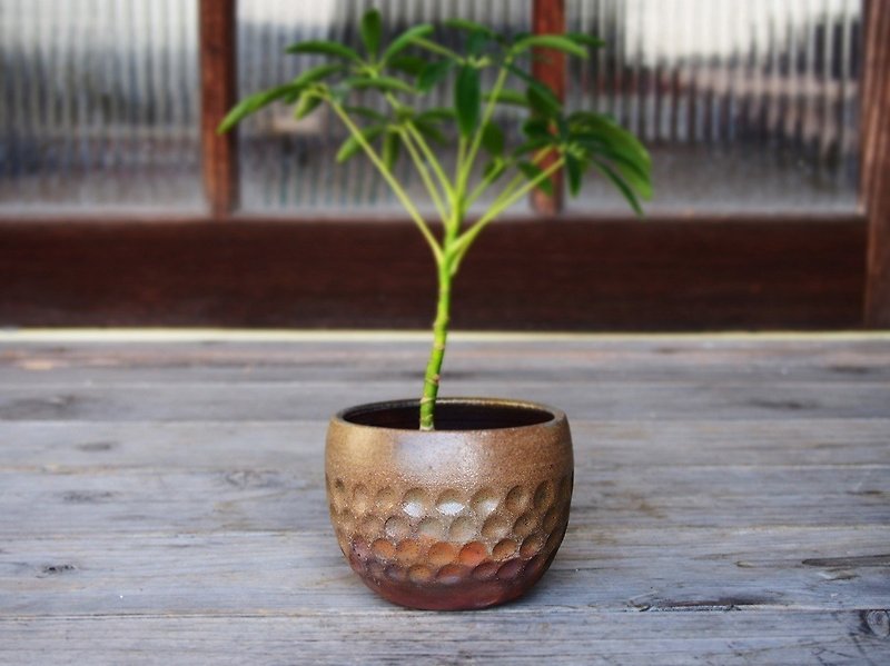 備前 植木鉢　u-026 - 植栽/盆栽 - 陶 咖啡色