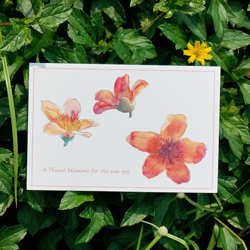 明信片 卡片 贺卡 水彩画作 木棉花 花朵 花纹 植物 - 卡片/明信片 - 纸 红色