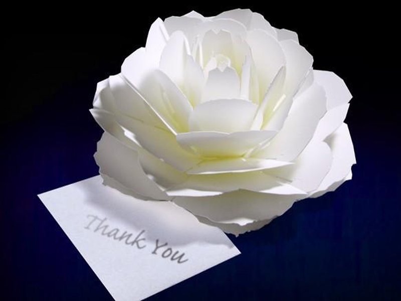 咲くようにひらく 花のサンキューカード ローズ　forバースデー・ウェディング・アニバーサリー - 卡片/明信片 - 纸 白色