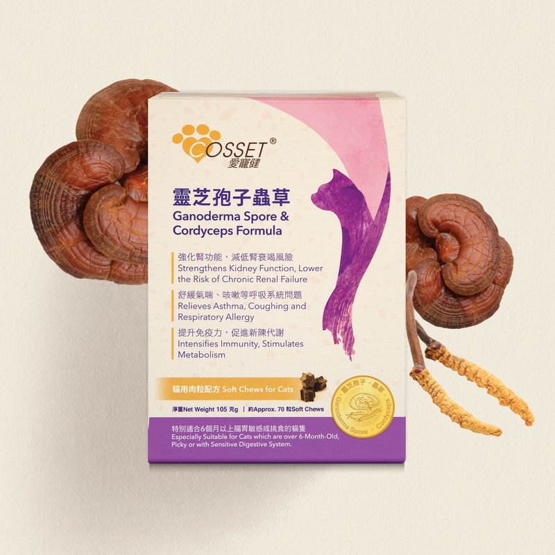 爱宠健灵芝孢子虫草猫用肉粒配方 - 饲料/罐头/鲜食 - 其他材质 