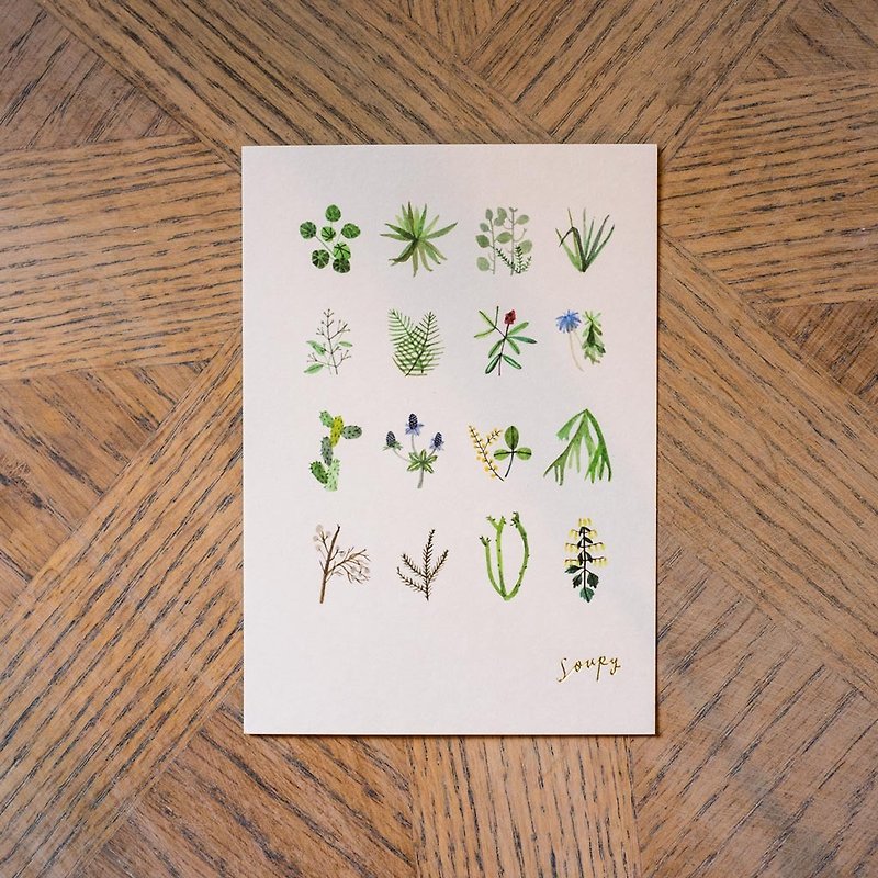 植物明信片 - 卡片/明信片 - 纸 