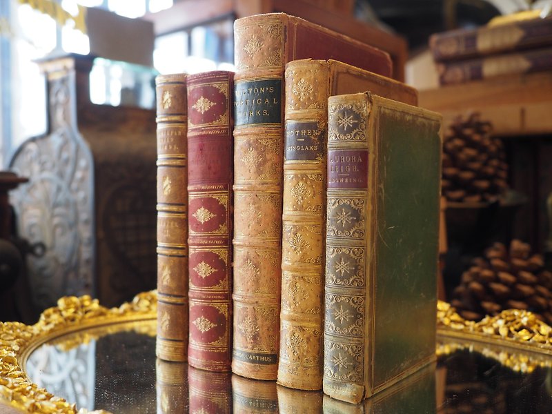 欧洲1800年-1900年的皮质装真古董书（超过一百岁真品) 五本一组 - 其他 - 纸 咖啡色