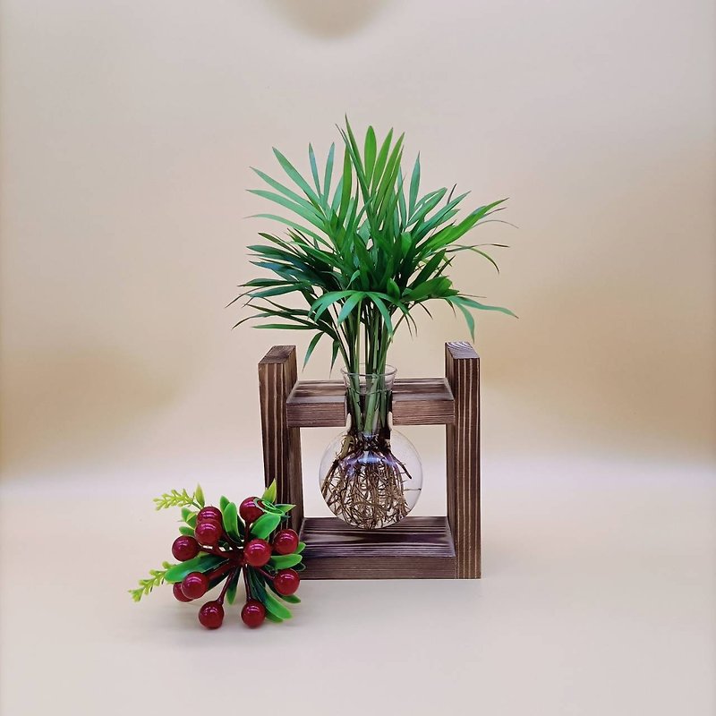 水培植物 袖珍椰子 净化空气 懒人植栽 创意木架 室内植物 - 植栽/盆栽 - 木头 咖啡色