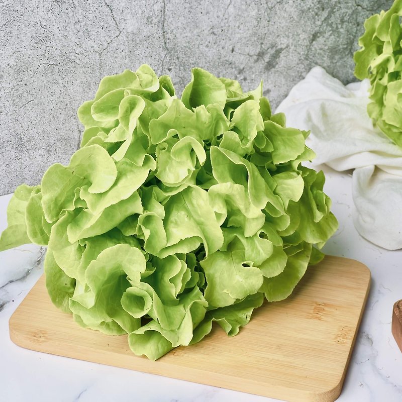 【丹云水耕生菜】绿橡木150g、生菜、沙拉、莴苣、水耕蔬菜 - 其他 - 新鲜食材 