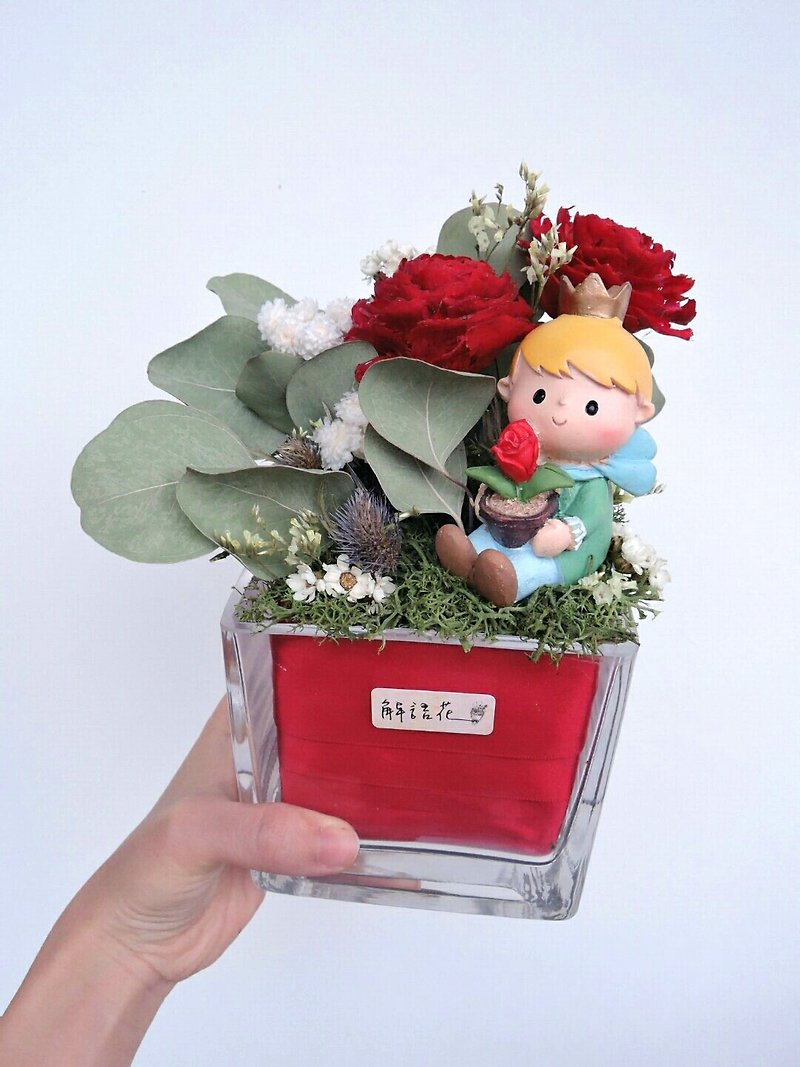 【小王子与玫瑰】干燥盆花 - 植栽/盆栽 - 植物．花 红色
