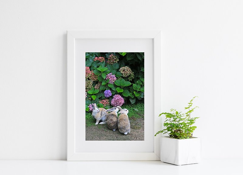 兔子摄影艺术微喷作品 - 观望 - 海报/装饰画/版画 - 纸 紫色