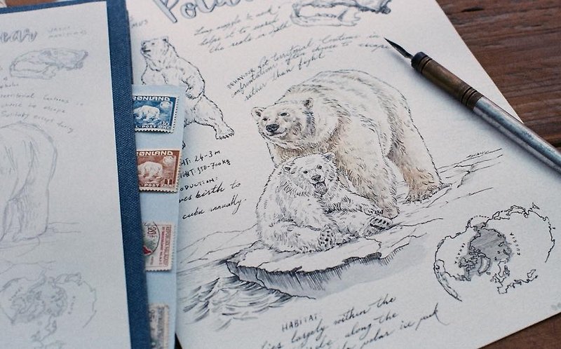 野生动物系列卡片-北极熊 - 卡片/明信片 - 纸 
